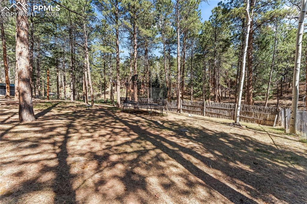 Image 43 of 47: Expansive wooded lot featuring mature pine and aspen trees, a partial wood 