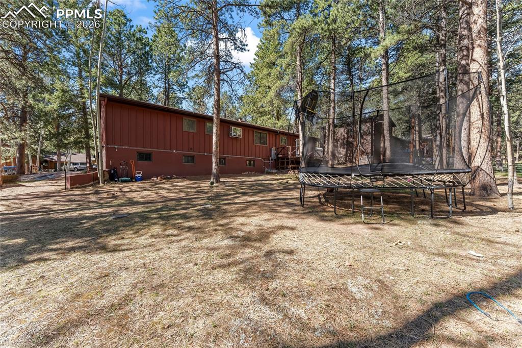 Image 44 of 47: Expansive rear yard featuring mature pine trees and a terraced earth retain