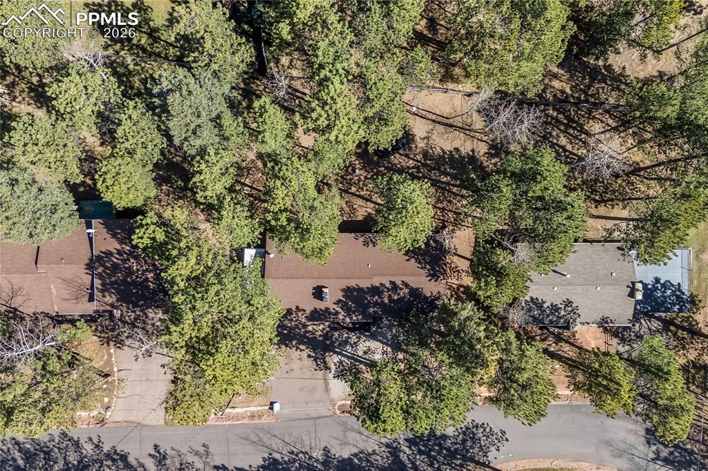 Image 45 of 47: Property featuring a brown shingle roof and dense surrounding tree coverage