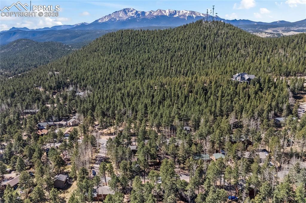 Image 47 of 47: Expansive forested terrain with scattered residential properties