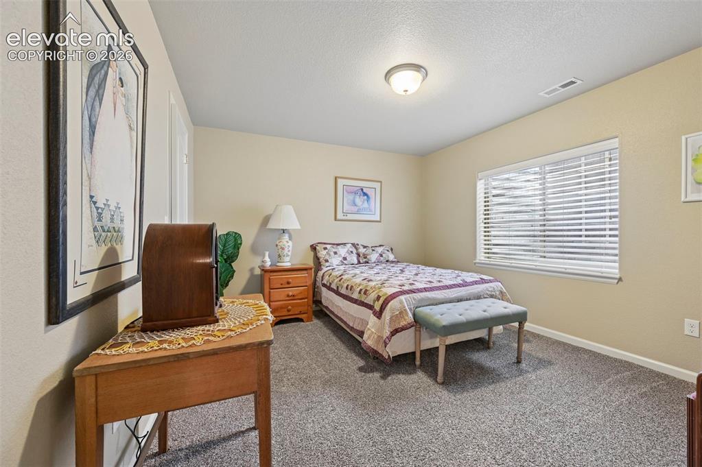 Image 30 of 38: Basement Bedroom 2 featuring neutral tone walls, carpet flooring, and a bri