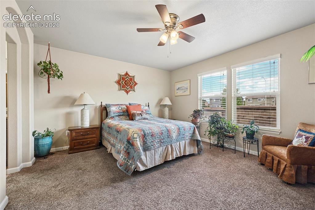 Image 5 of 38: Primary suite featuring two large windows, a ceiling fan, and light-colored