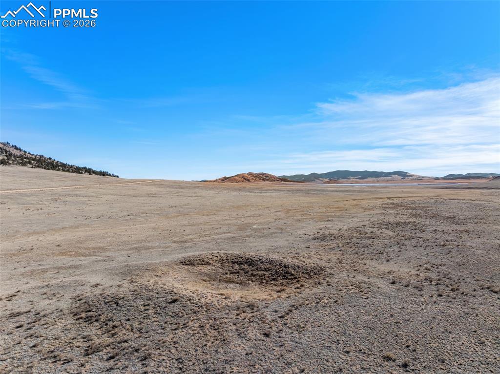 Image 33 of 33: Yard