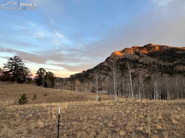 Image 10 of 22: View