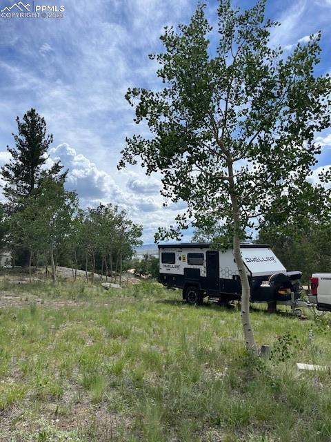 Image 13 of 22: Yard