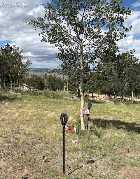 Image 14 of 22: Other