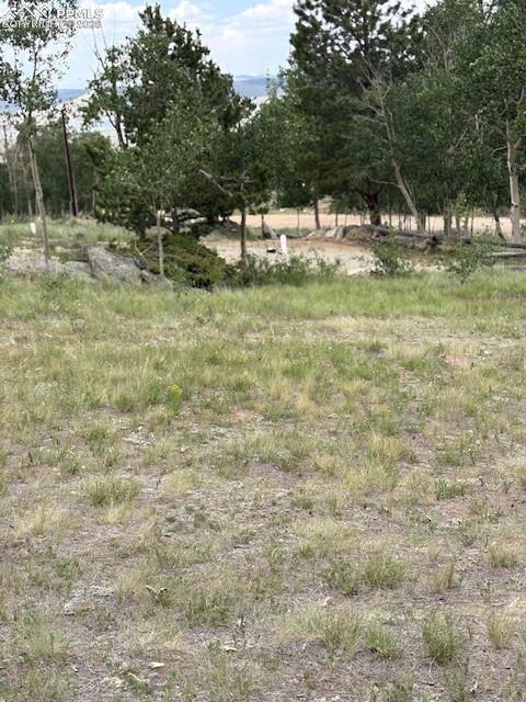 Image 15 of 22: Other