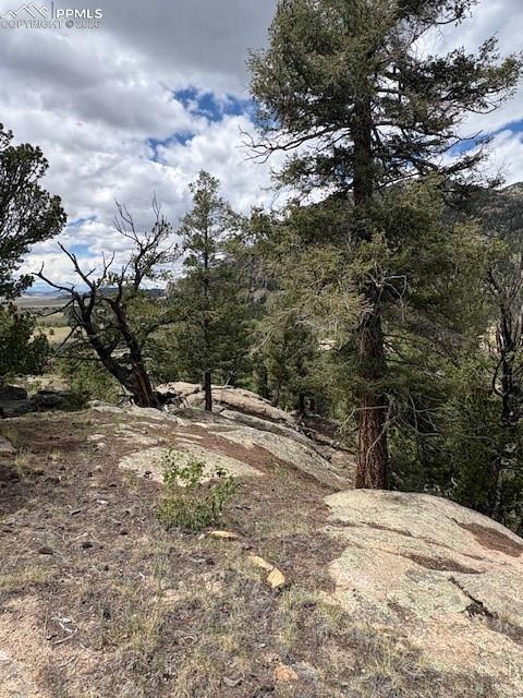 Image 16 of 22: Other