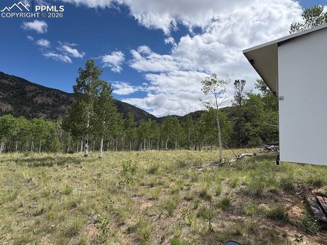 Image 18 of 22: View