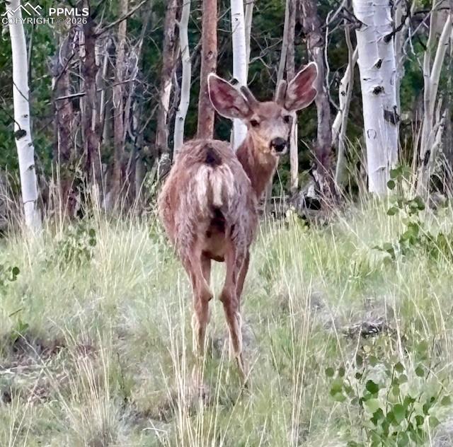 Image 22 of 22: Other