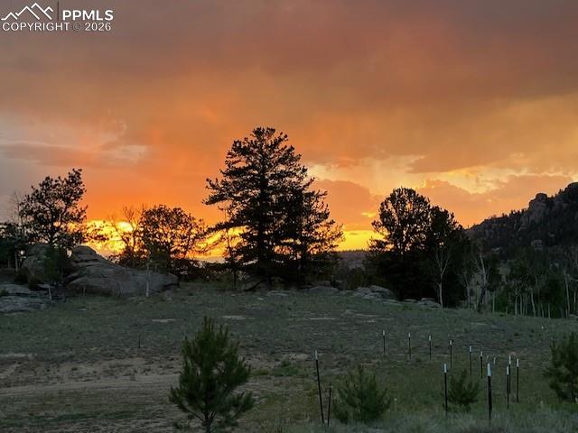 Image 4 of 22: Other