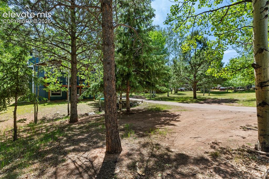 Image 36 of 43: Yard