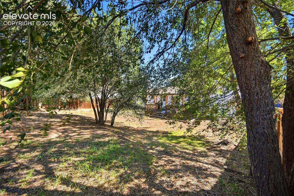 Image 39 of 39: Rear yard with mature trees