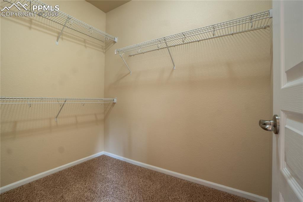 Image 22 of 33: Walk in closet featuring carpet flooring