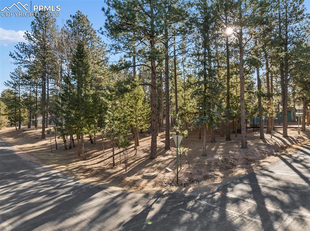 Image 37 of 50: Yard