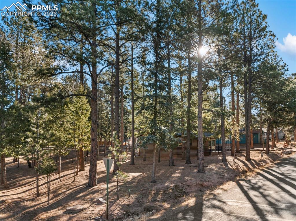 Image 40 of 50: Yard