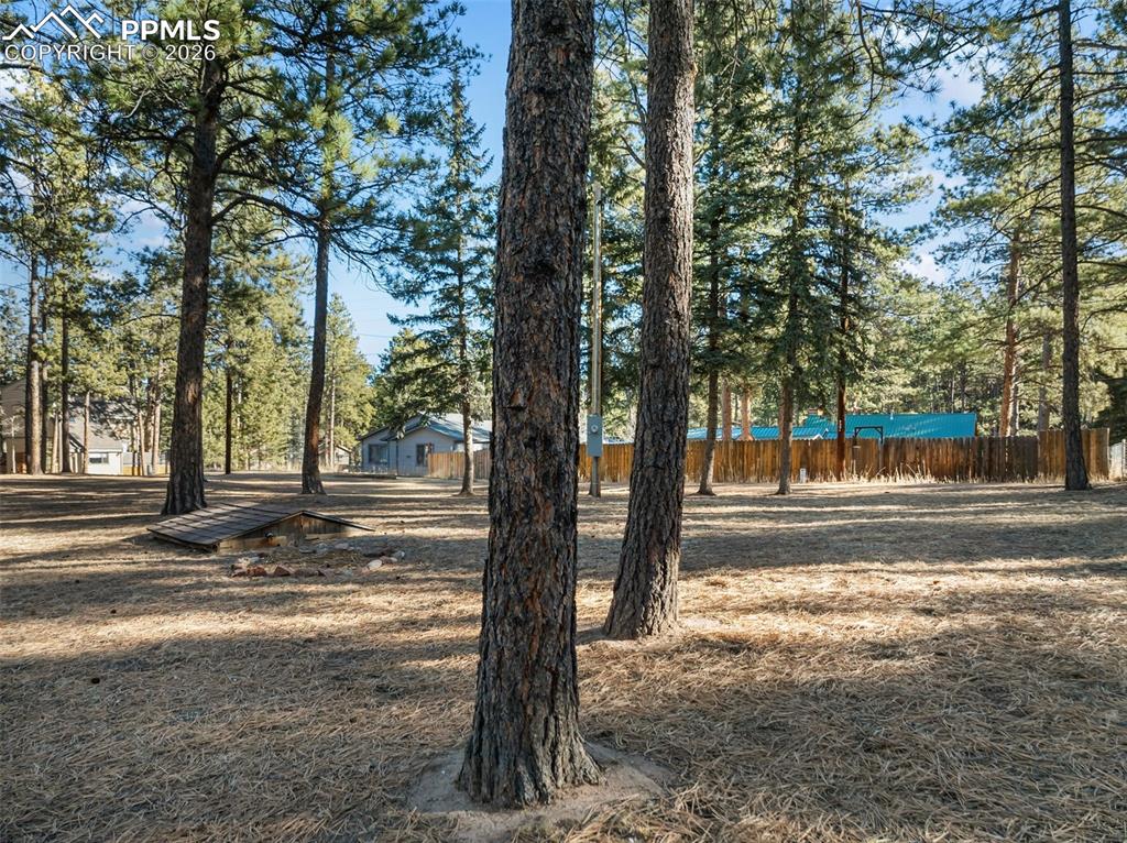 Image 41 of 50: Yard