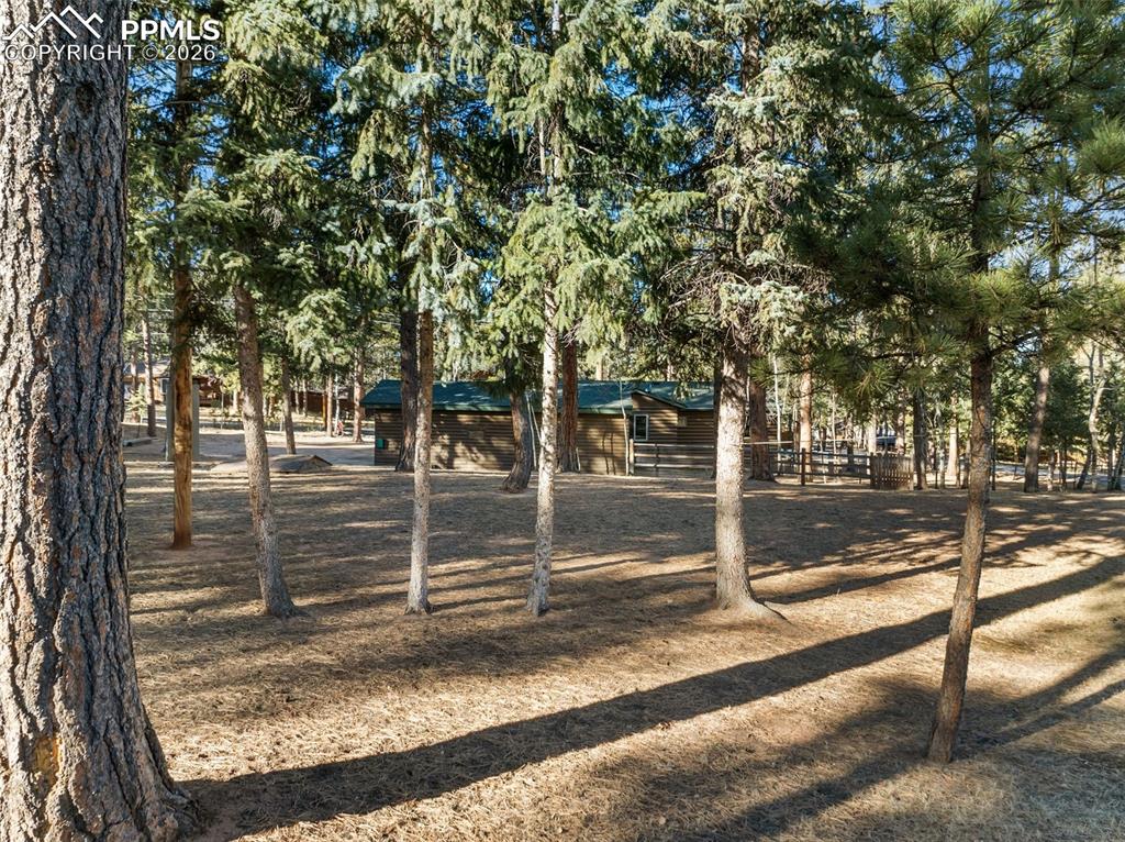 Image 42 of 50: Other