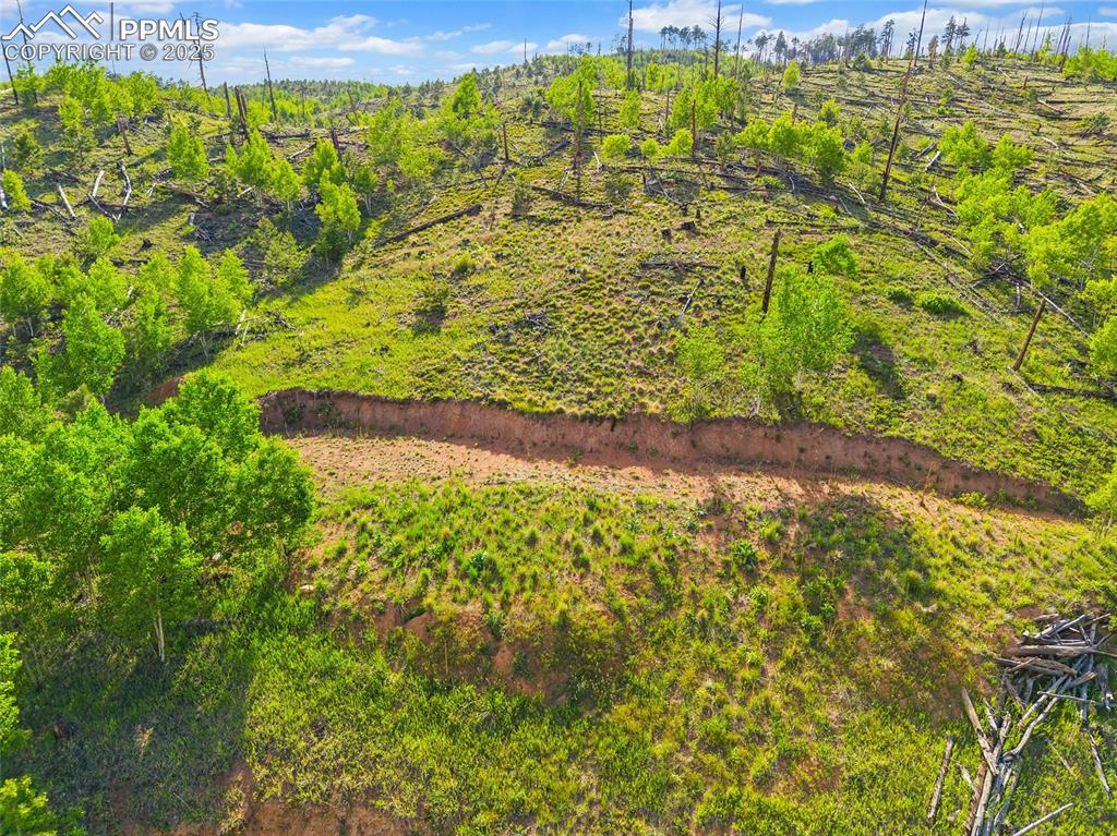 Image 7 of 14: Aerial View