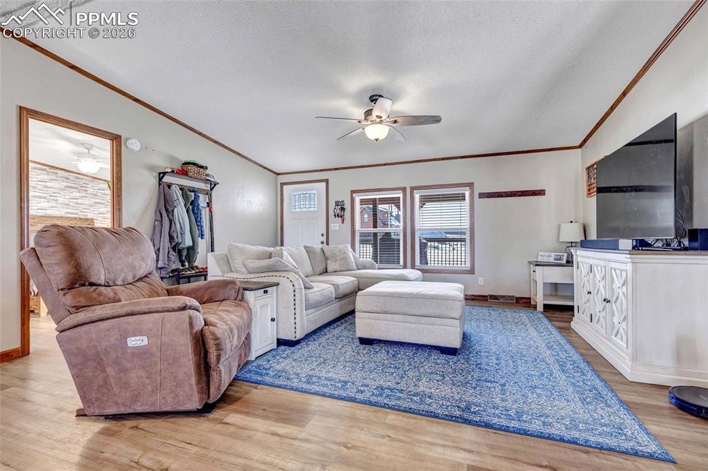 Image 10 of 36: Living room featuring light wood-type flooring, ceiling fan, a textured cei