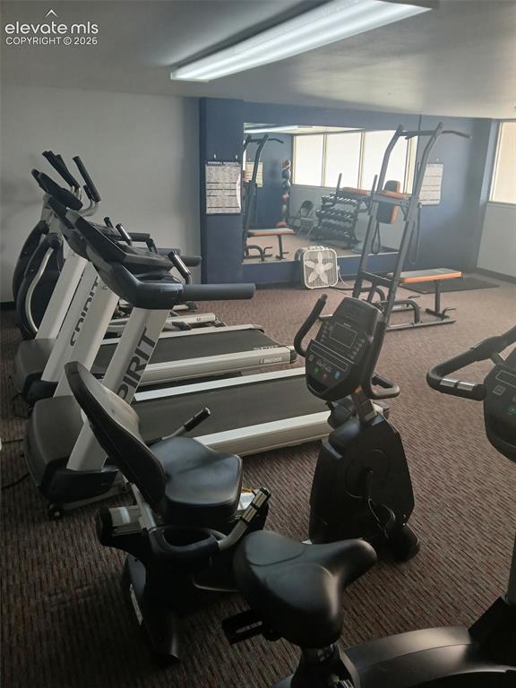 Image 43 of 50: Gym