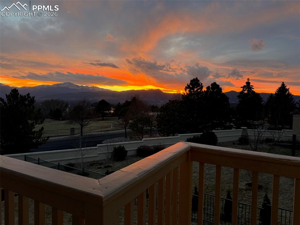 Image 16 of 47: Other