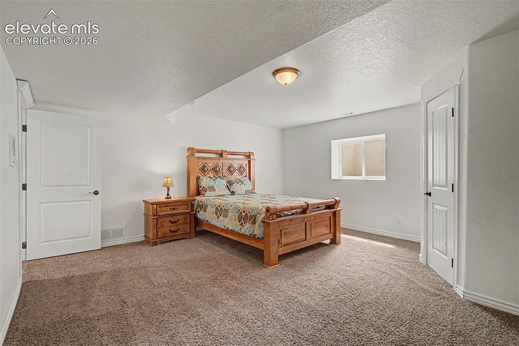 Image 36 of 50: Generously sized lower-level bedroom featuring a walk-in closet and abundan