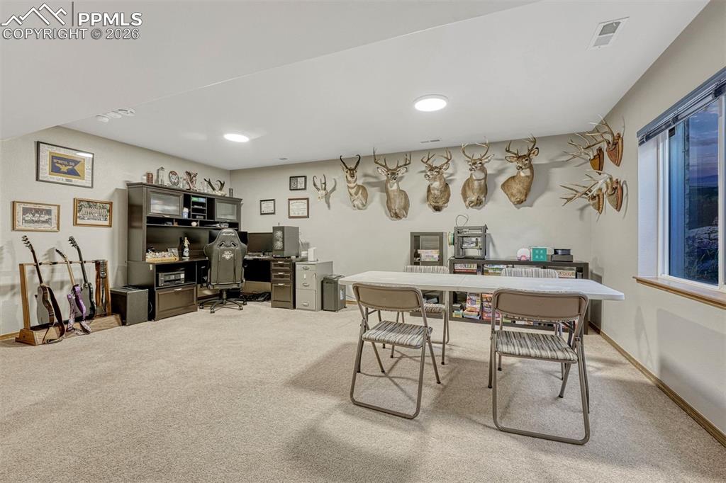 Image 30 of 40: Lower level living room 