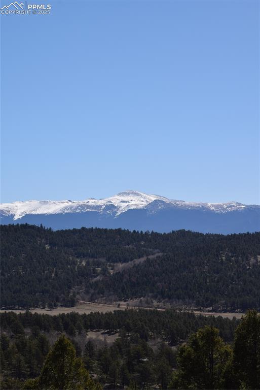 Image 36 of 44: Mountain view with a heavily wooded area