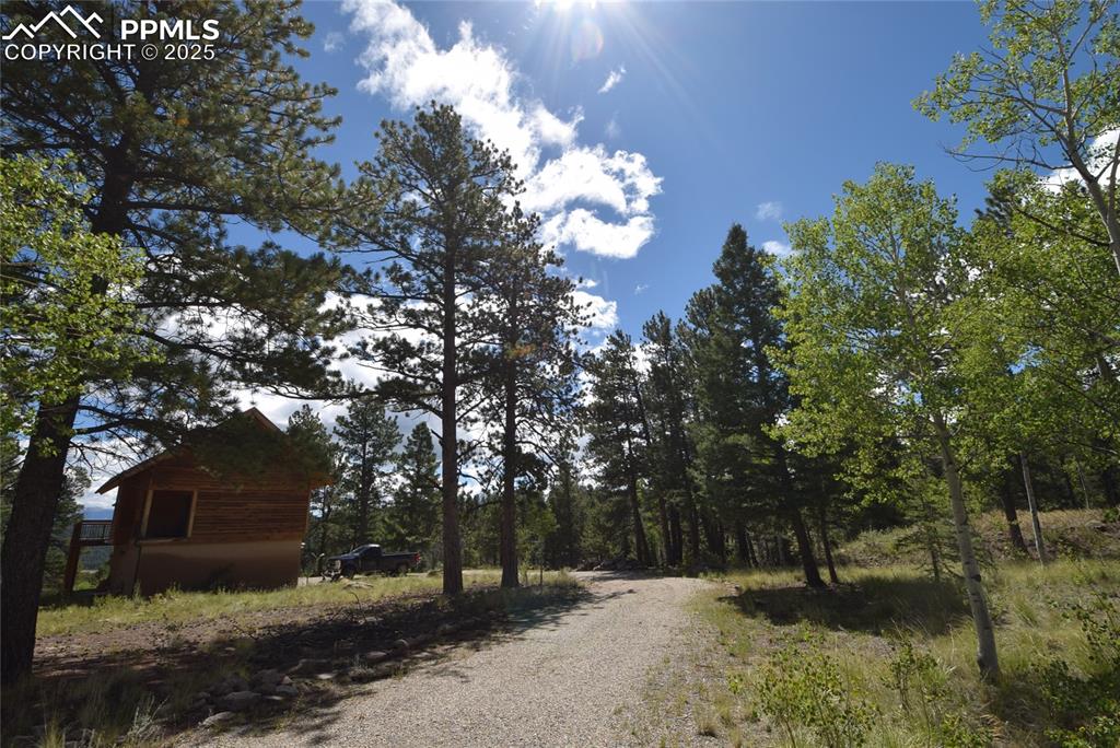 Image 39 of 44: View of dirt / gravel road
