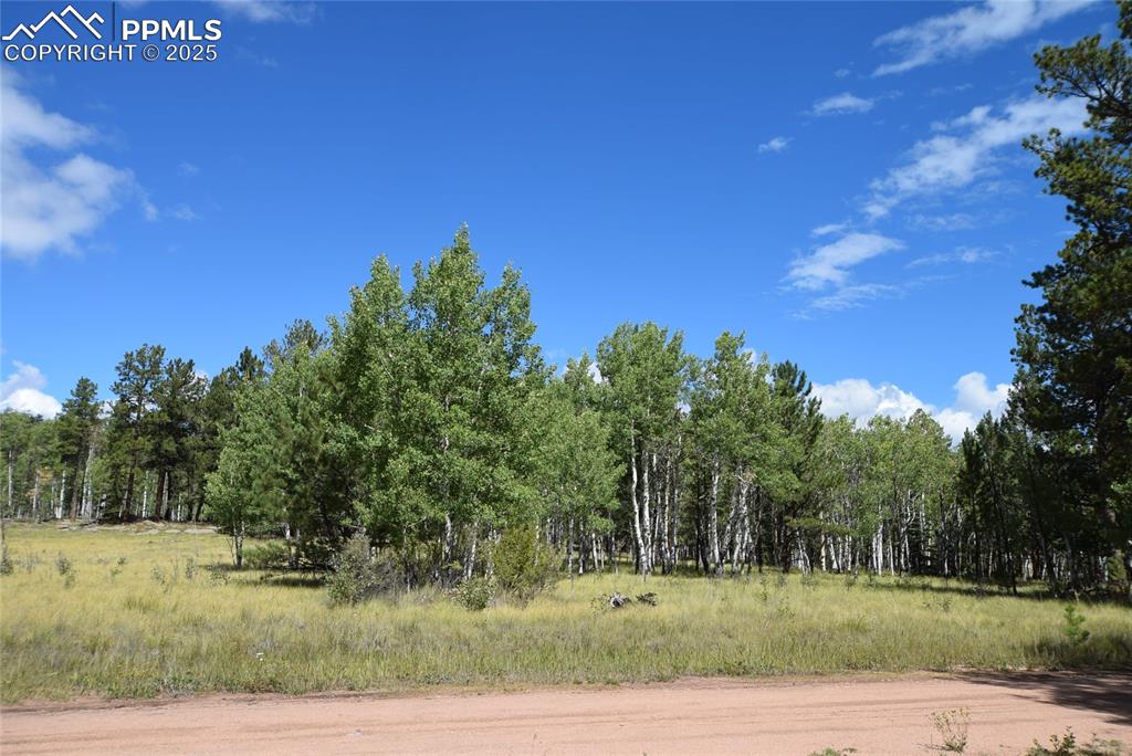 Image 41 of 44: View of nature