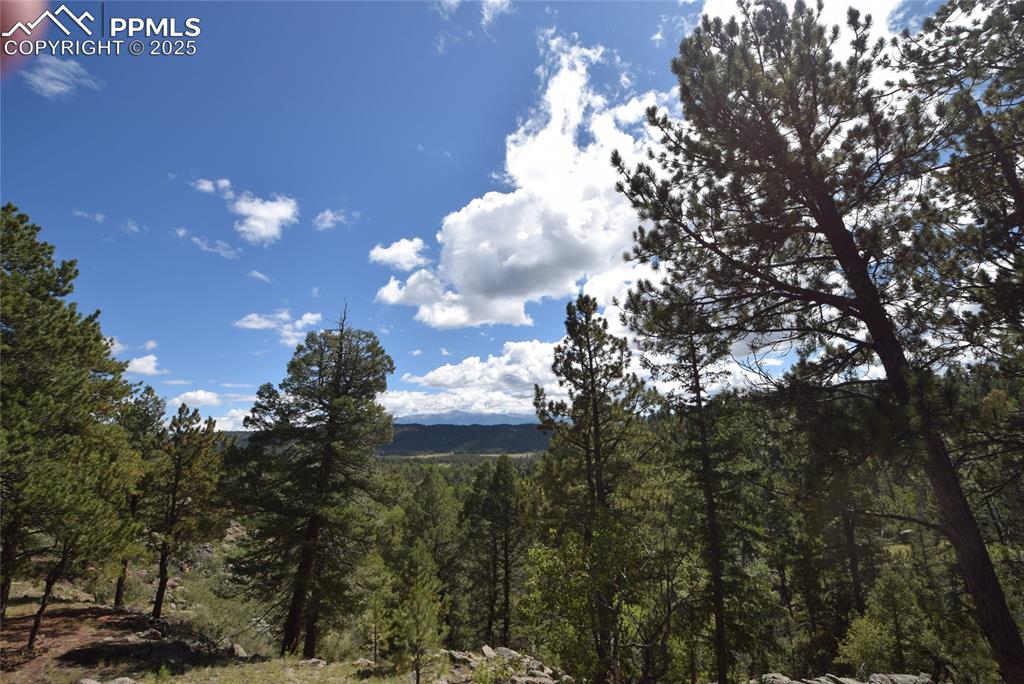 Image 42 of 44: View of mountain backdrop featuring a forest