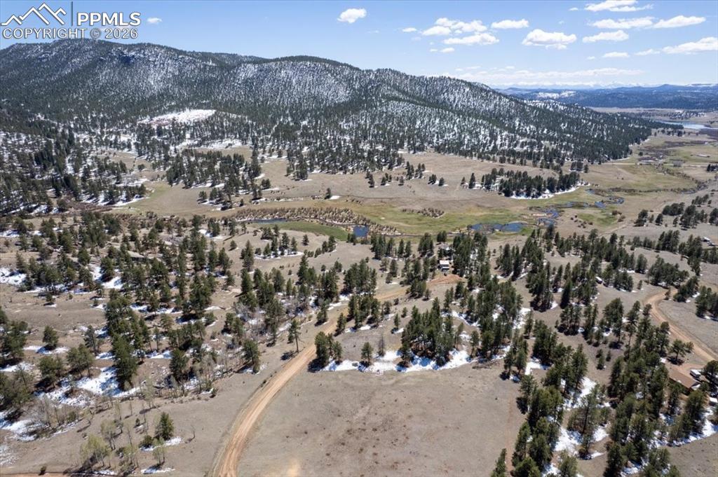 Image 3 of 14: Aerial View