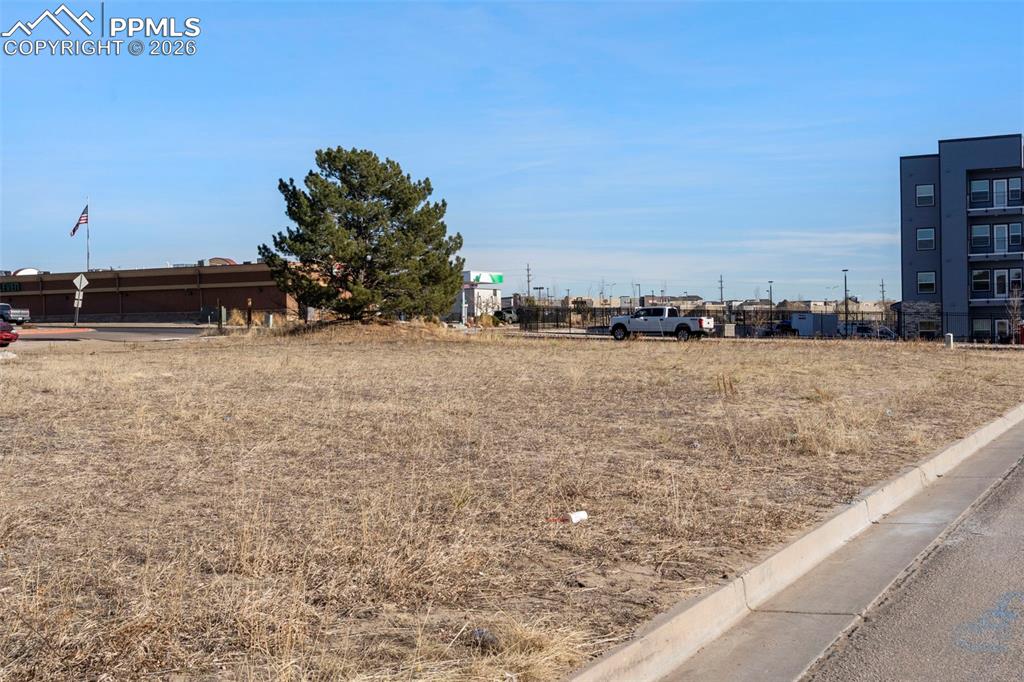 Image 14 of 18: Yard