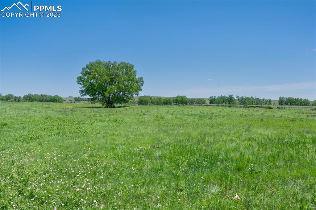 Image 3 of 50: View of yard with a view of countryside