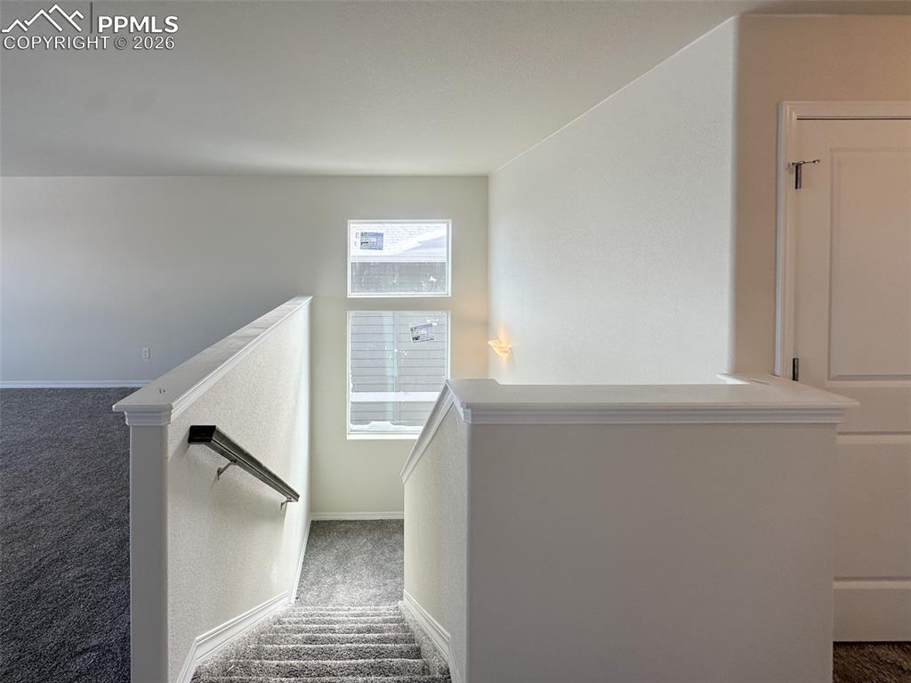 Image 11 of 29: Other