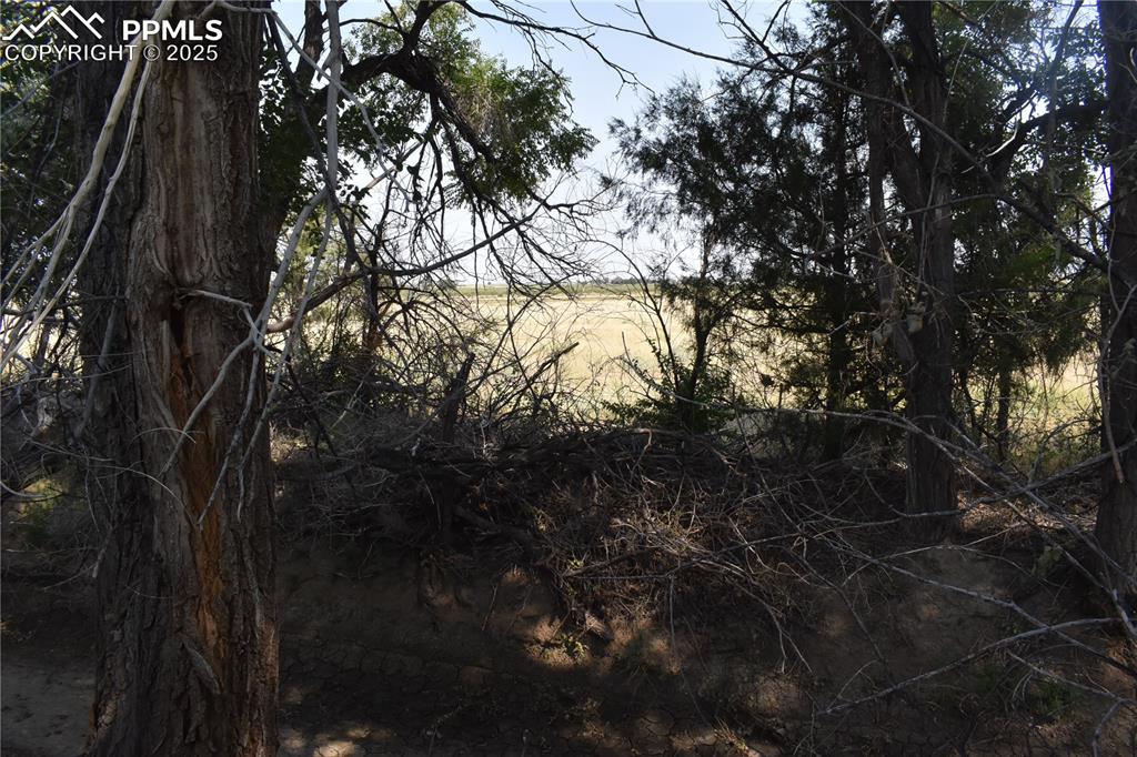 Image 11 of 47: View of undeveloped land
