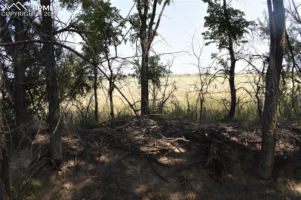 Image 13 of 47: View of local wilderness featuring rural landscape