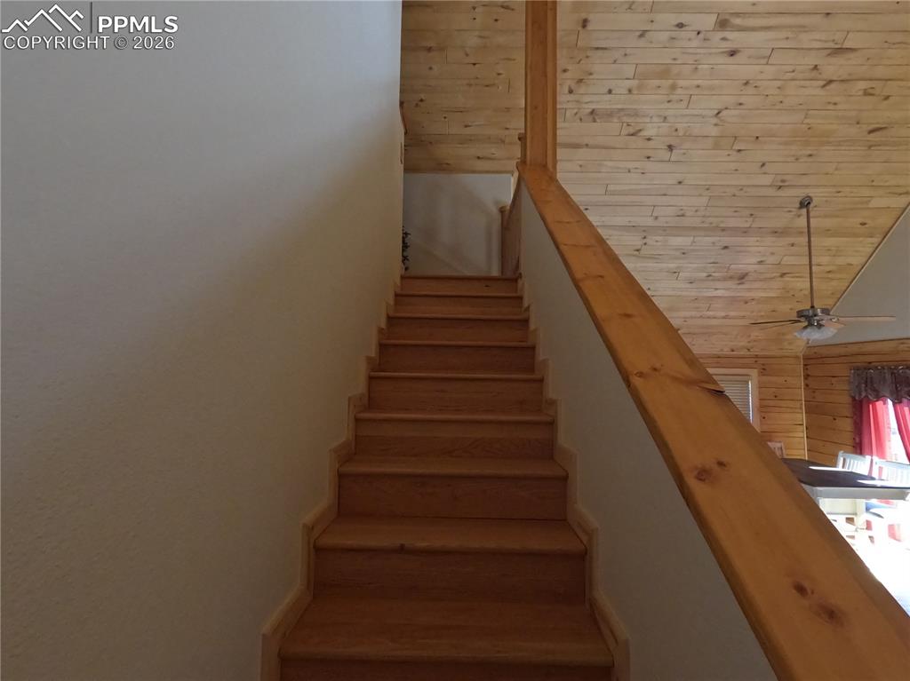 Image 17 of 21: Other