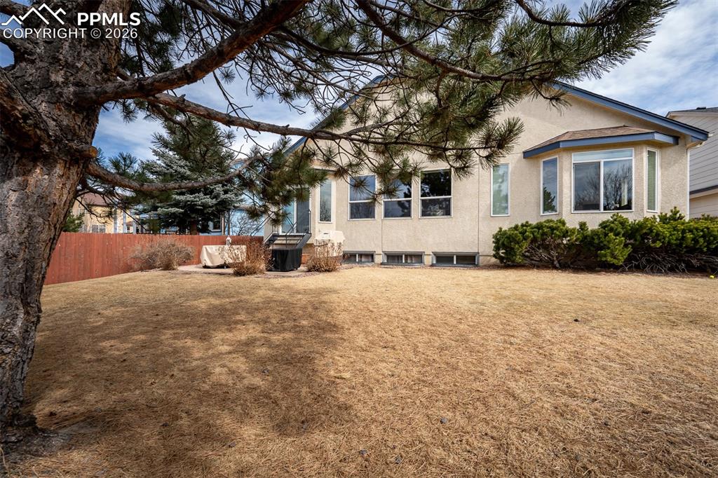 Image 41 of 48: Back of Structure