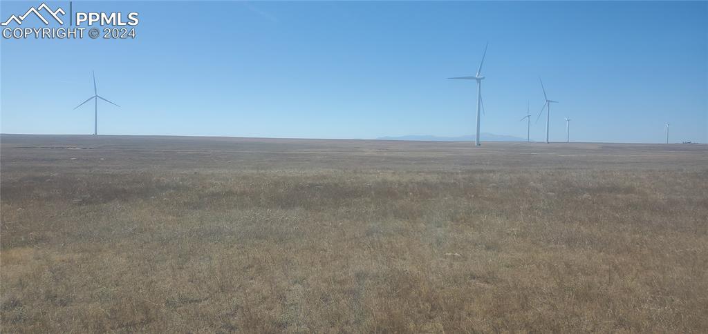 Image 11 of 19: Other