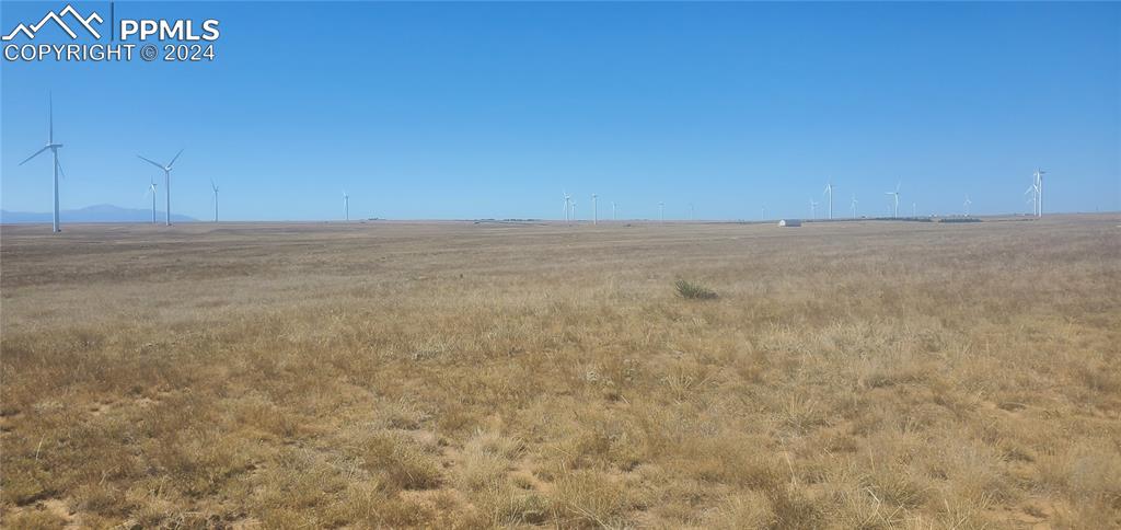 Image 13 of 19: Other