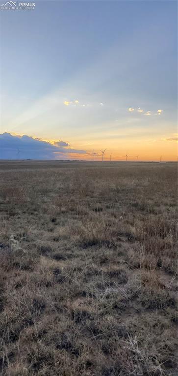 Image 15 of 19: View