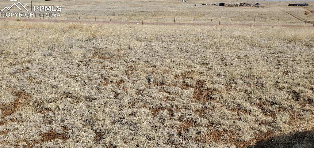 Image 8 of 19: Other