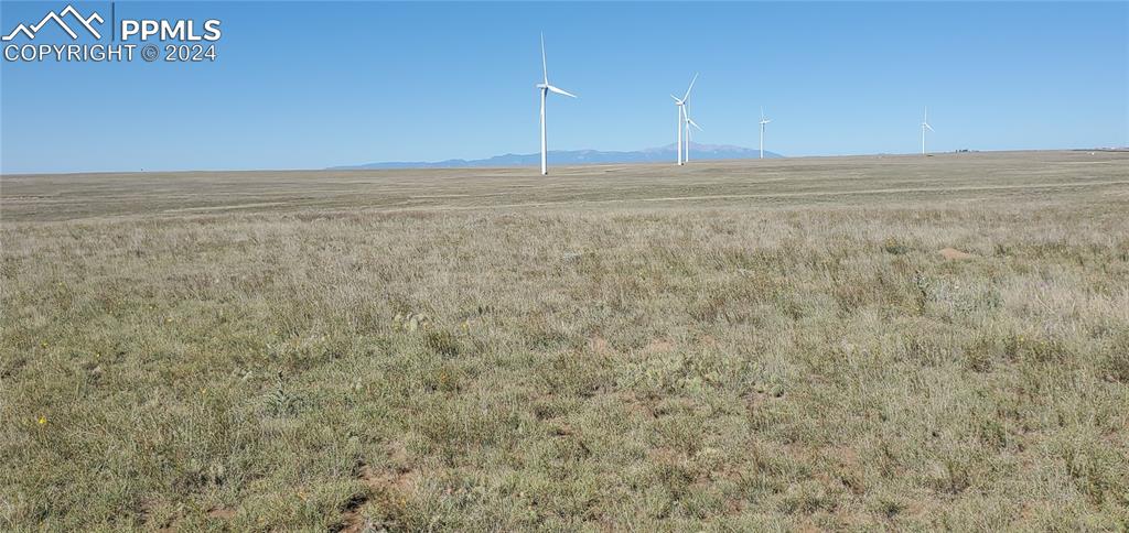 Image 9 of 19: Other