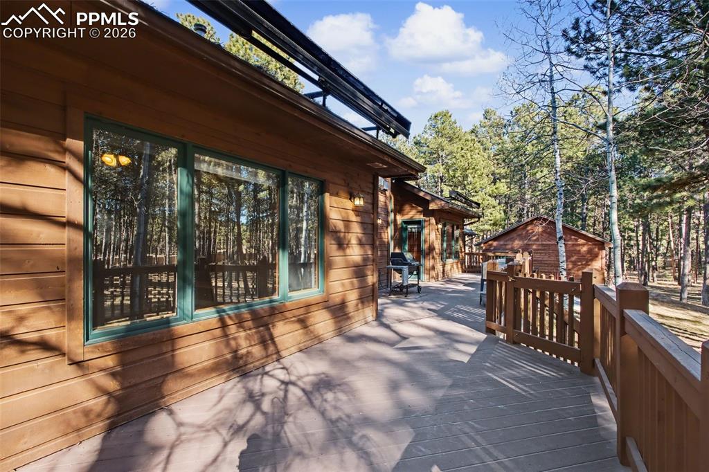 Image 43 of 50: Other