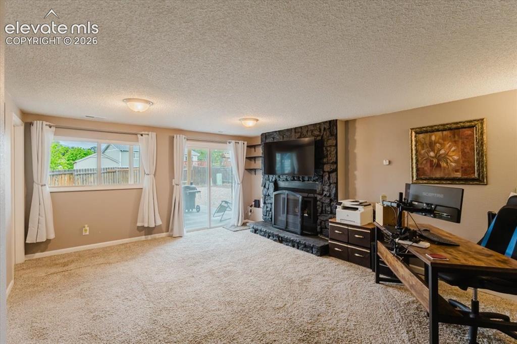 Image 17 of 49: Lower level with walkout to the backyard