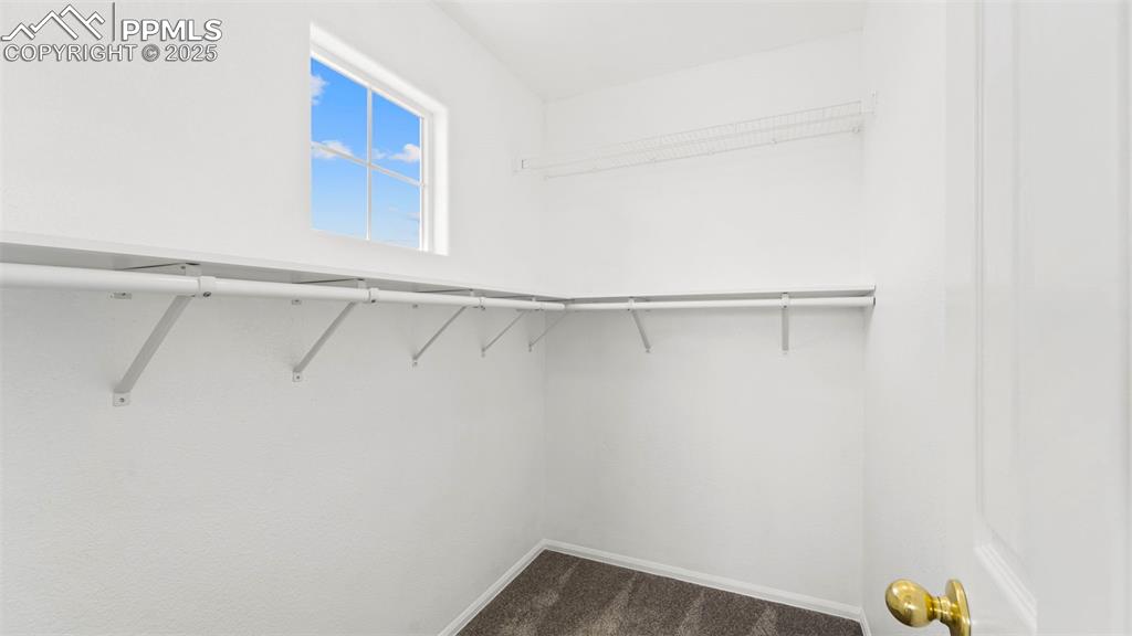Image 29 of 46: Walk in closet featuring dark carpet