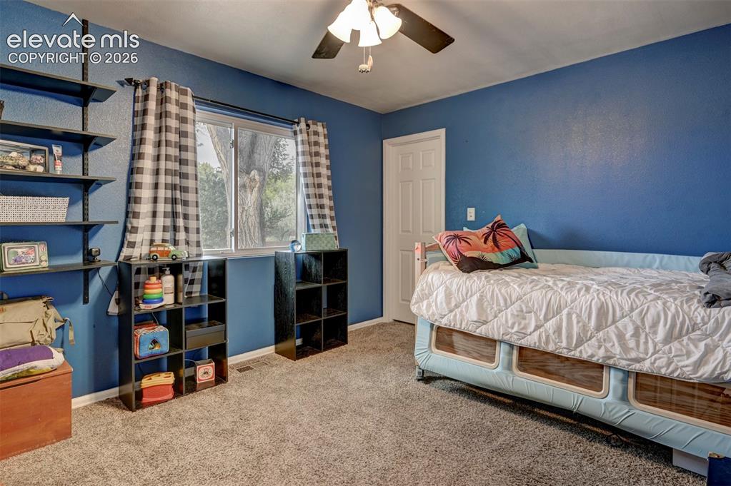 Image 23 of 50: Carpeted room featuring a ceiling fan, window with natural light, and a pan