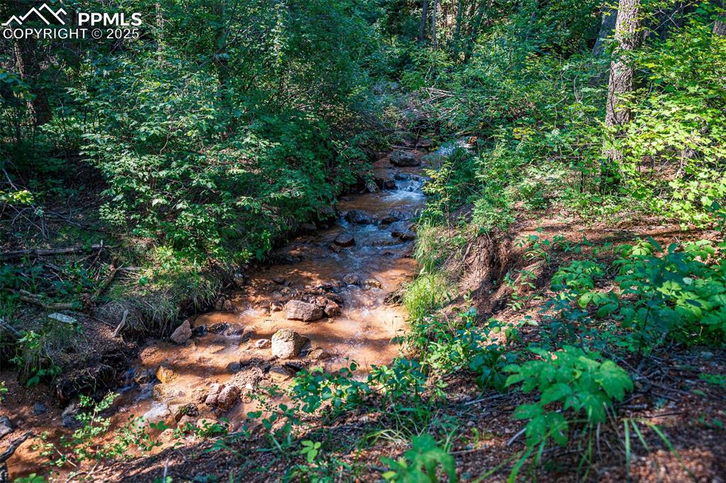 Image 4 of 32: Creek running within steps of front door